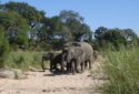 Johannesburg_South_Africa_Kruger_National_Park