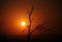 sunrise-1147595_1280