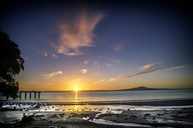 Auckland Tours