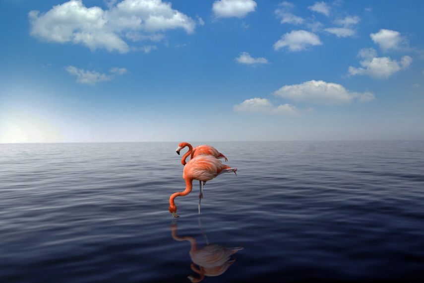 Aruba-Best-Places-To-Visit