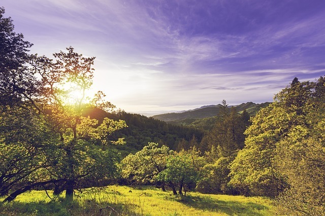Sonoma tours