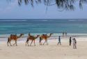 Diani Best Places To Visit