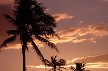Fiji Tours