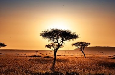 Kisumu Best Places To Visit