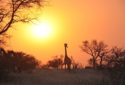 Lusaka, Zambia