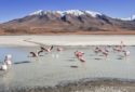 La Paz Best Places To Visit