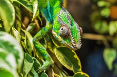 MADAGASCAR Best Places To Visit