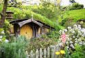 MATAMATA Best Places To Visit
