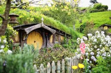 MATAMATA Best Places To Visit