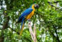 Mindo, Ecuador
