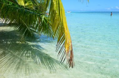 New Guniea Tours