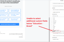 Newsletter - Unable To Select Custom Field