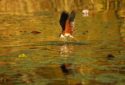 PALAPYE Best Places To Visit