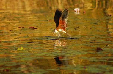 PALAPYE Best Places To Visit