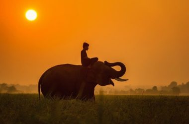 Phenom Penh Tours