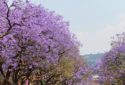 Pretoria, South Africa