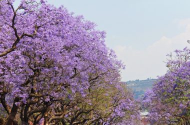 PRETORIA Best Places To Visit