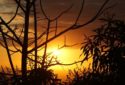 Reunion Island (French)