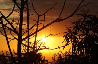 REUNION ISLAND Best Places To Visit