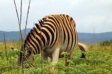 Swaziland Best Places To Visit