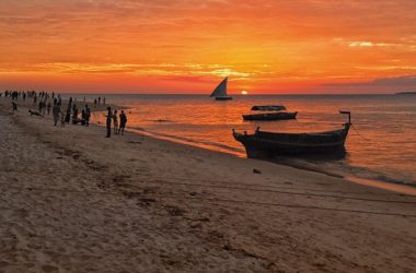 Zanzibar Tours