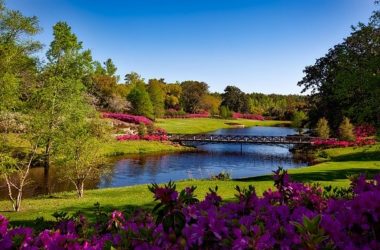 Alabama Best Places To Visit