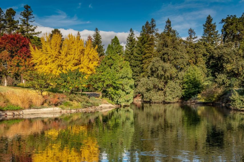 Davis, California