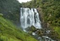 Waitomo, New Zealand