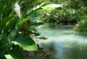 Portland Jamaica