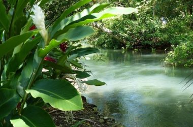 Portland Jamaica